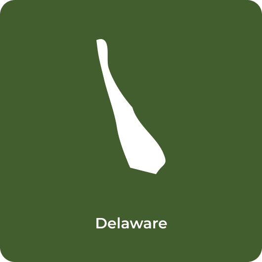 Delaware