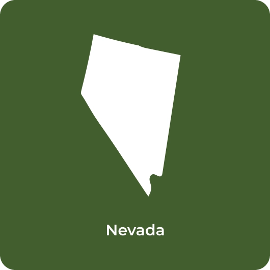 Nevada