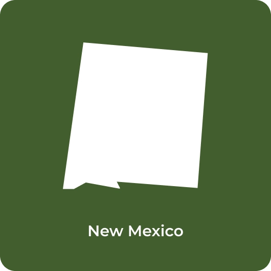 New Mexico