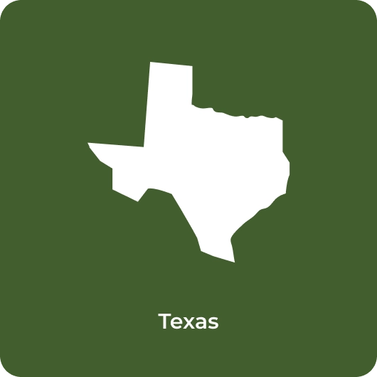 Texas